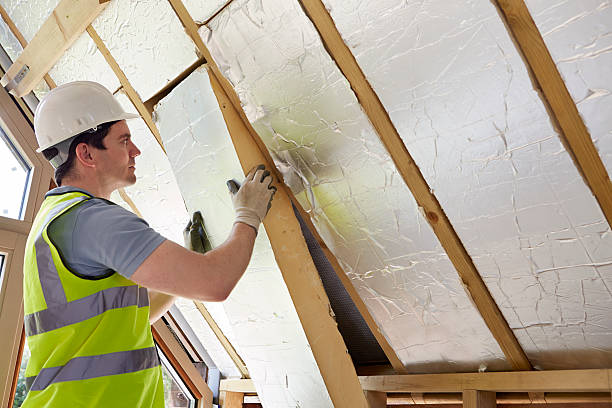 Best Cellulose Insulation  in East Franklin, NJ